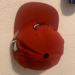 Chicago Bulls SnapBack